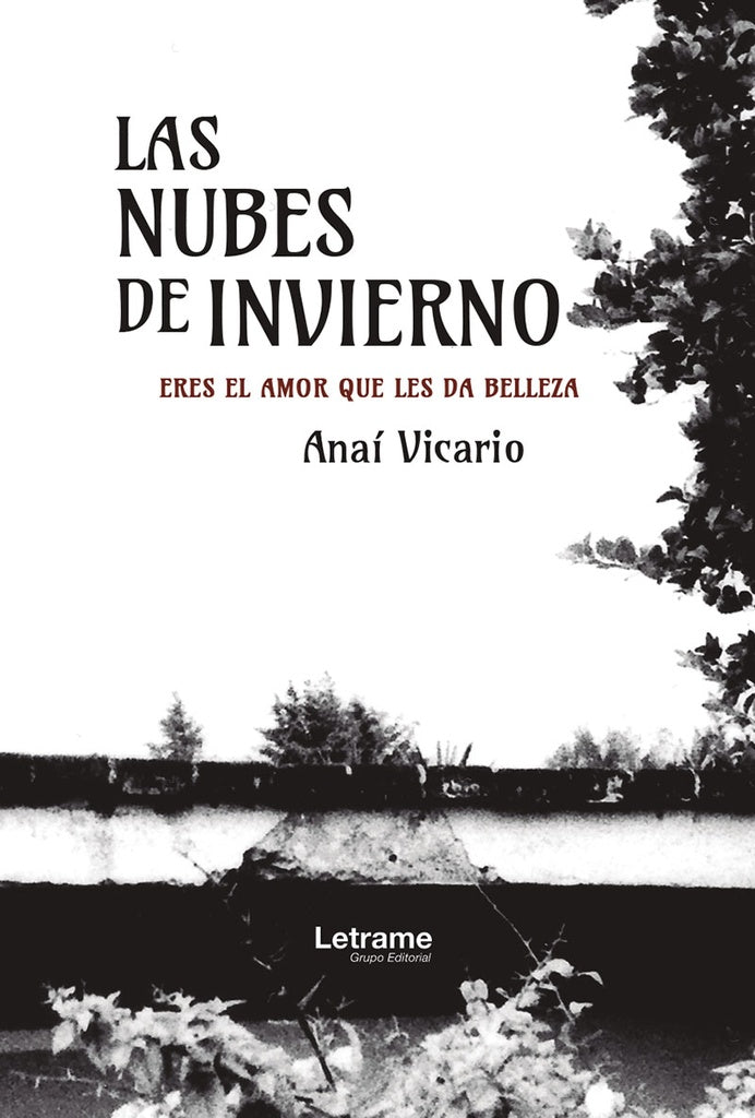 Las nubes de invierno | Anai Vicario