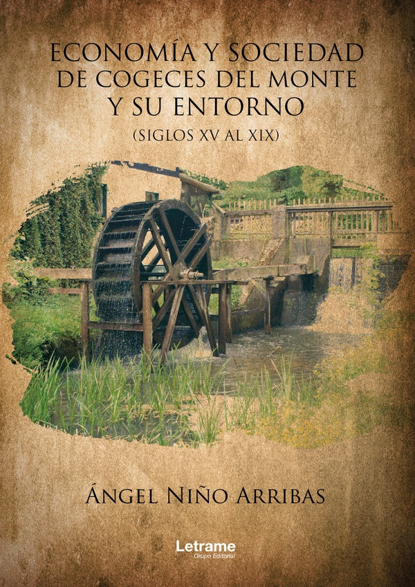 Economia y sociedad de Cogeces del Monte y su entorno | angel Ni?o Arribas