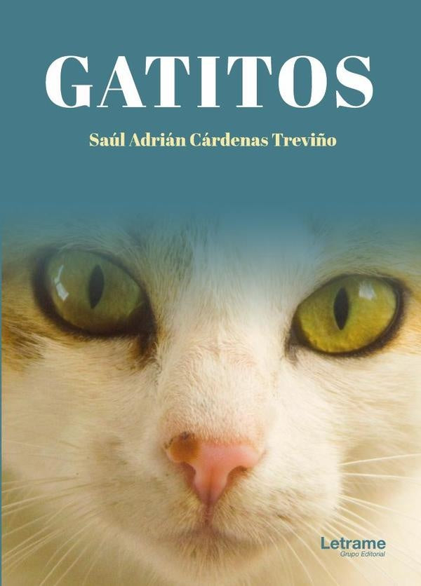 Gatitos | Saul Adrian Cardenas Trevi?o