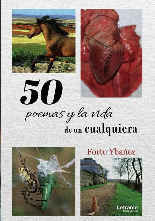 50 Poemas y la vida de un cualquiera | Fortu Yba?ez