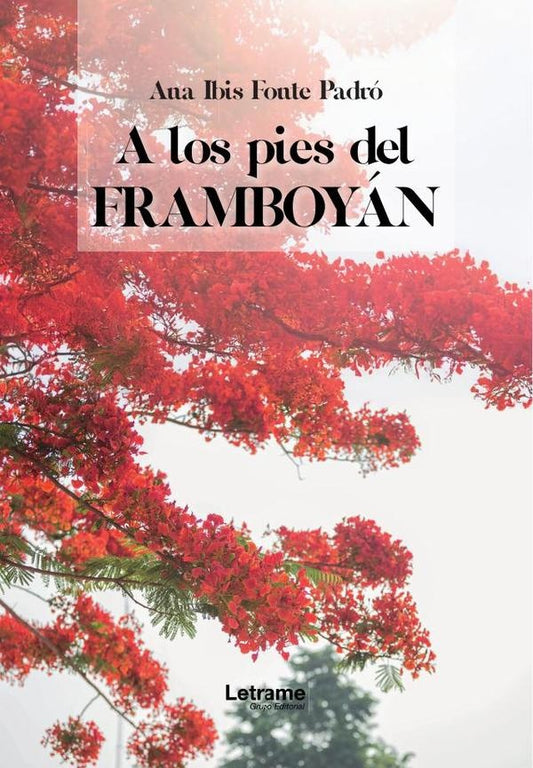 A los pies del framboyan | Ana Ibis Fonte Padro
