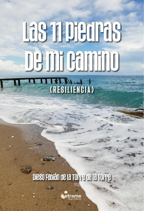Las 11 piedras de mi camino | Diego Fabian de la Torre de la Torre