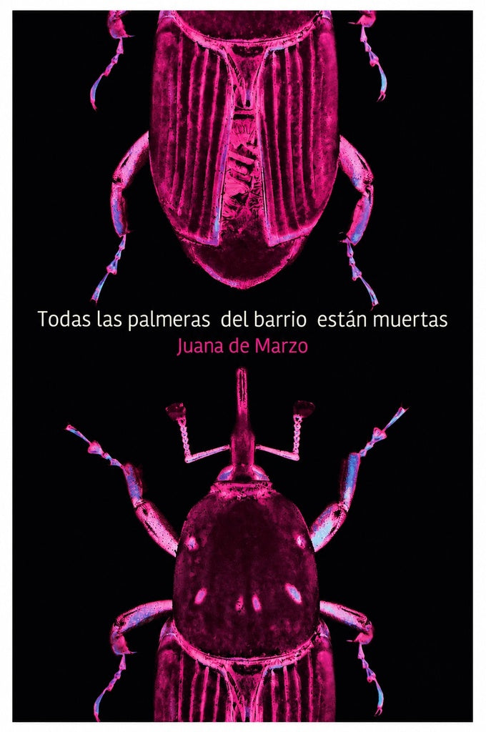 Todas las palmeras del barrio están muertas
 | JUANA DE MARZO