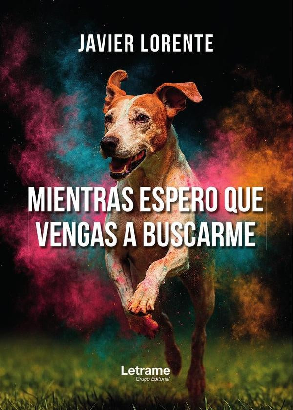 Mientras espero que vengas a buscarme | Javier Lorente