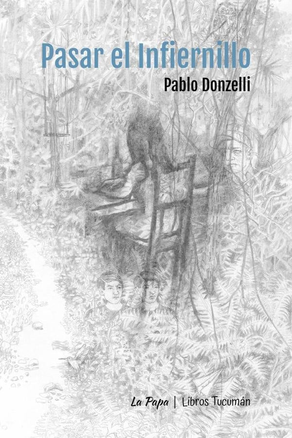Pasar el Infiernillo | Pablo Donzelli