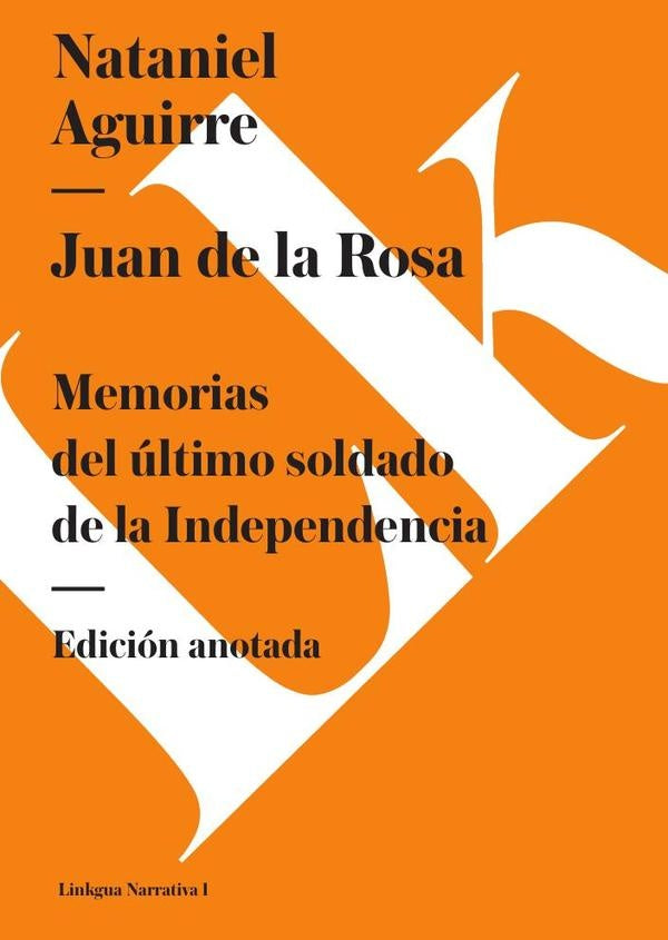Juan de la Rosa | Nataniel Aguirre