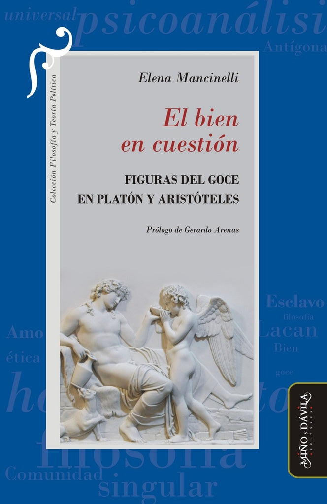El bien en cuestion | Gerardo Arenas
