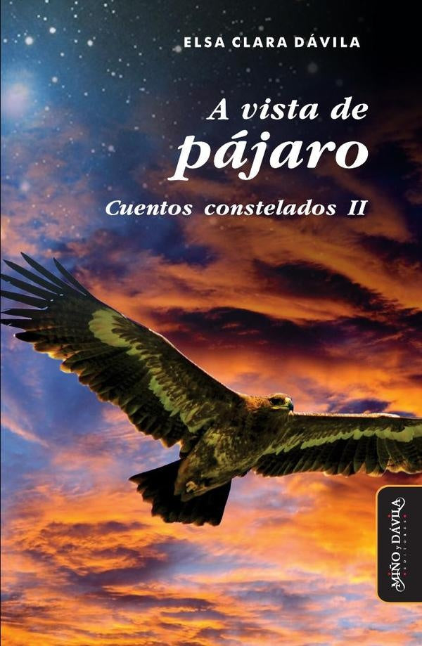 A vista de pajaro | Elsa Clara Davila
