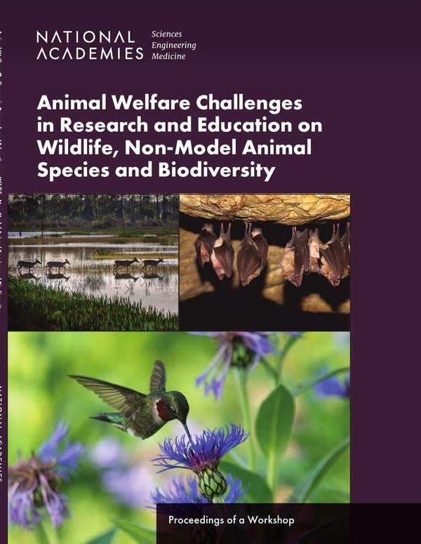 Animal Welfare Challenges in Research and Education on Wildlife, Non-Model Animal Species and Biodiv | HEINRICH / AA.VV. HOFFMANN