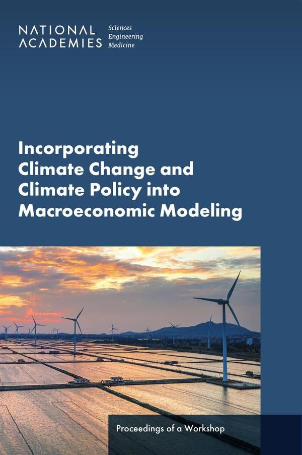Incorporating Climate Change and Climate Policy into Macroeconomic Modeling | HEINRICH / AA.VV. HOFFMANN