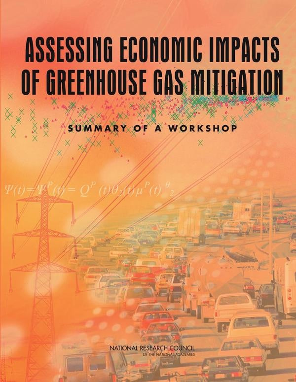 Assessing Economic Impacts of Greenhouse Gas Mitigation | HEINRICH / AA.VV. HOFFMANN