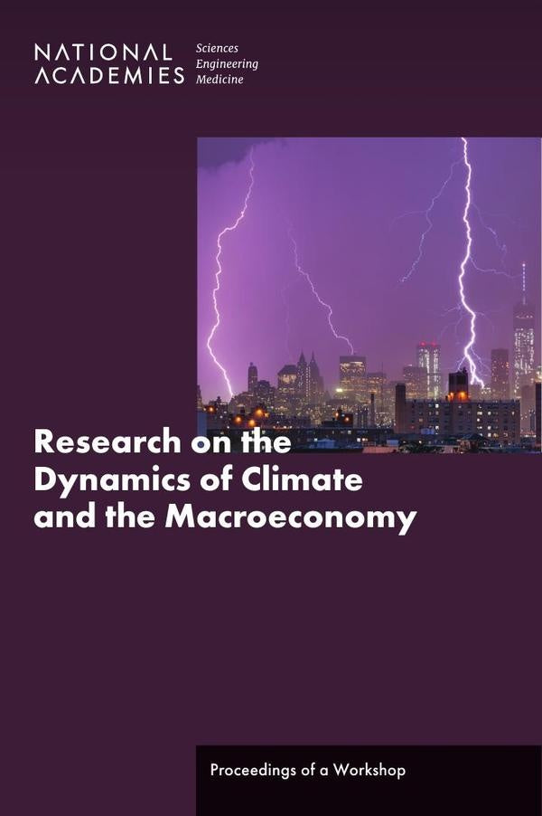 Research on the Dynamics of Climate and the Macroeconomy | HEINRICH / AA.VV. HOFFMANN