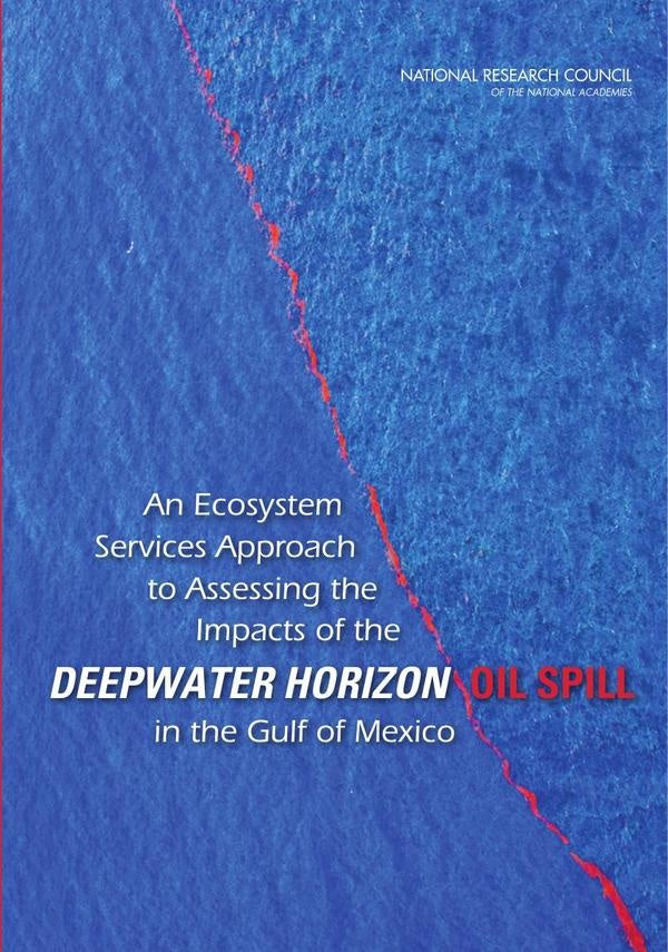 An Ecosystem Services Approach to Assessing the Impacts of the Deepwater Horizon Oil Spill in the Gu | HEINRICH / AA.VV. HOFFMANN