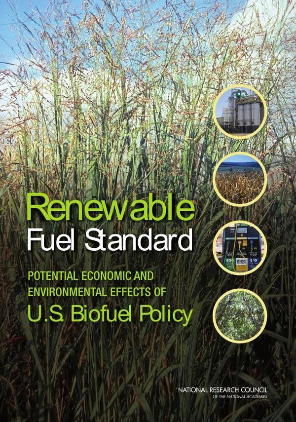 Renewable Fuel Standard | HEINRICH / AA.VV. HOFFMANN