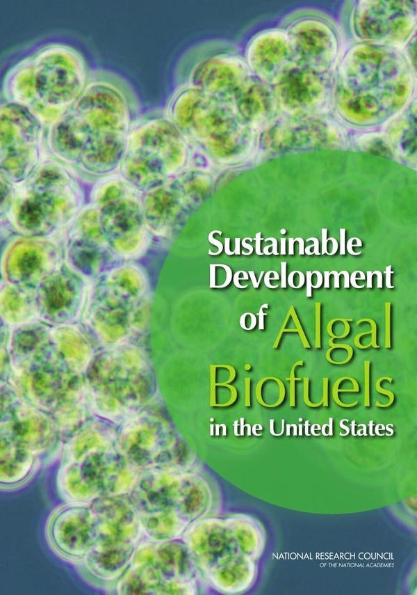 Sustainable Development of Algal Biofuels in the United States | HEINRICH / AA.VV. HOFFMANN
