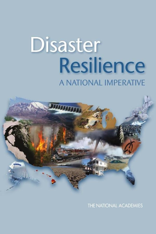 Disaster Resilience | HEINRICH / AA.VV. HOFFMANN