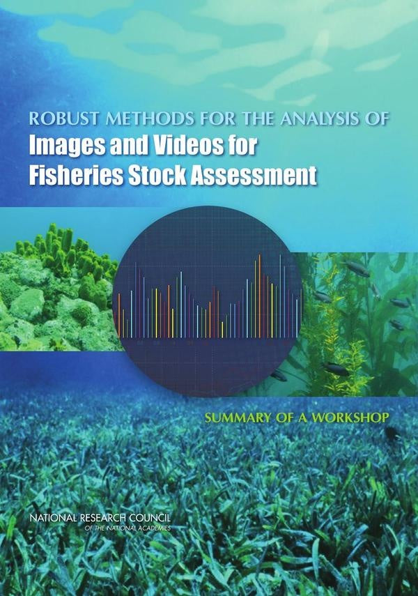 Robust Methods for the Analysis of Images and Videos for Fisheries Stock Assessment | HEINRICH / AA.VV. HOFFMANN