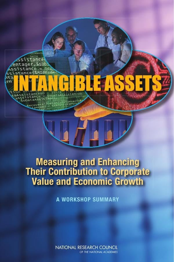 Intangible Assets | HEINRICH / AA.VV. HOFFMANN