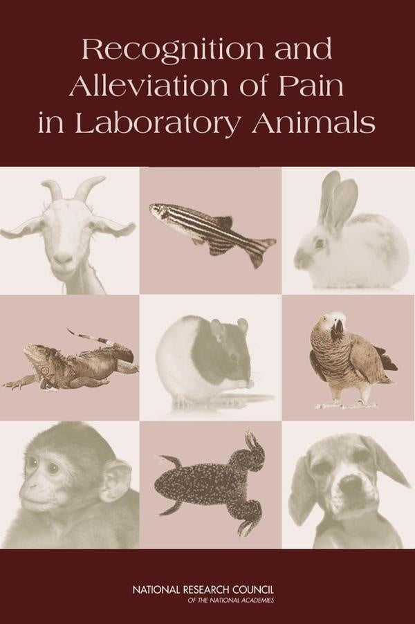 Recognition and Alleviation of Pain in Laboratory Animals | HEINRICH / AA.VV. HOFFMANN