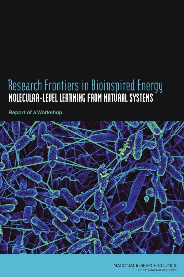 Research Frontiers in Bioinspired Energy | HEINRICH / AA.VV. HOFFMANN