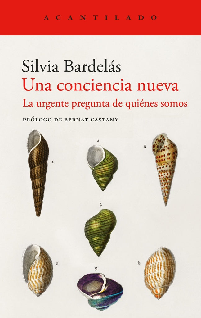 CONCIENCIA NUEVA UNA | SILVIA BARDELAS