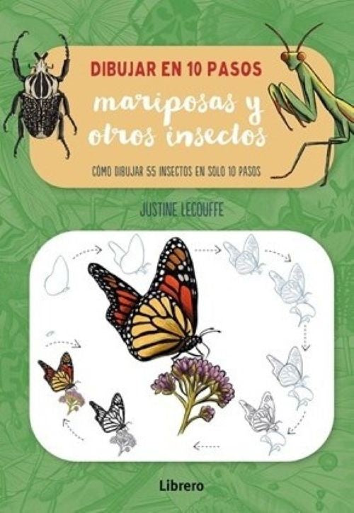 DIBUJAR MARIPOSAS Y OTROS INSECTOS EN 10 PASOS | JUSTINE LECOUFFE