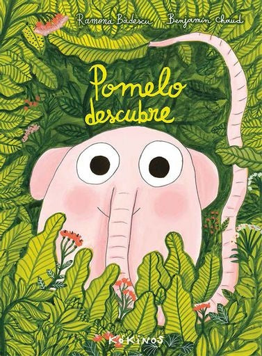 POMELO DESCUBRE | SIN ASIGNAR