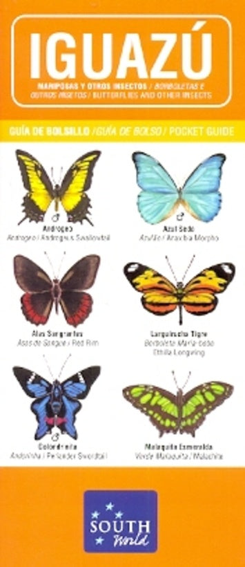 Iguazú, mariposas y otros insectos | South World