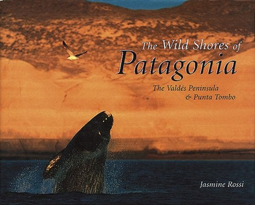 PATAGONIA-THE WILD SHORES OF | JASMINE ROSSI