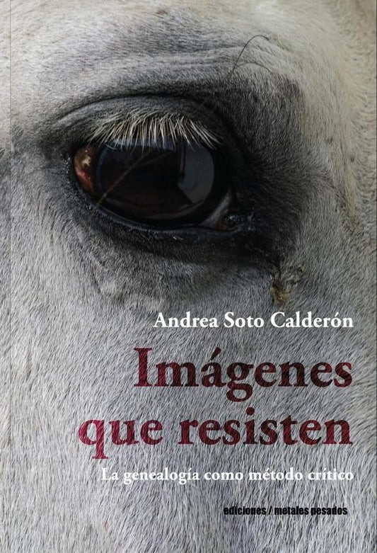 IMAGENES QUE RESISTEN | ANDREA SOTO CALDER?N