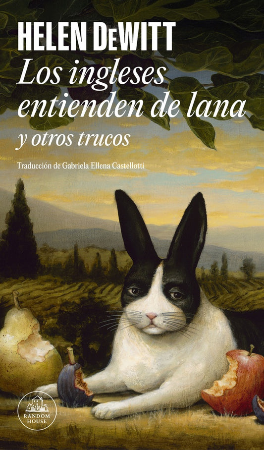 INGLESES ENTIENDEN DE LANA Y OTROS TRUCOS, LOS | HELEN DEWITT
