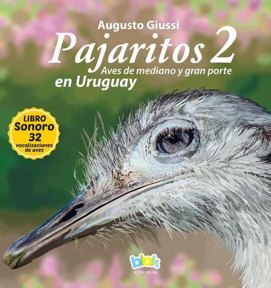 Pajaritos en Uruguay 2 | AUGUSTO GIUSSI
