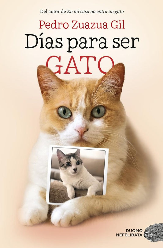 DIAS PARA SER GATO | PEDRO ZUAZUA GIL