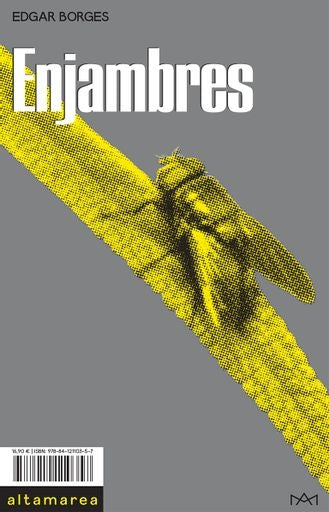 Enjambres | EDGAR BORGES