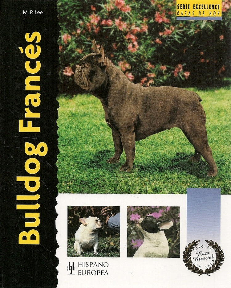 Serie Excellence  Bulldog Francés | SIN ASIGNAR
