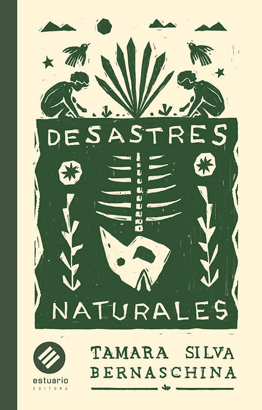Desastres naturales | Tamara Silva Bernaschina