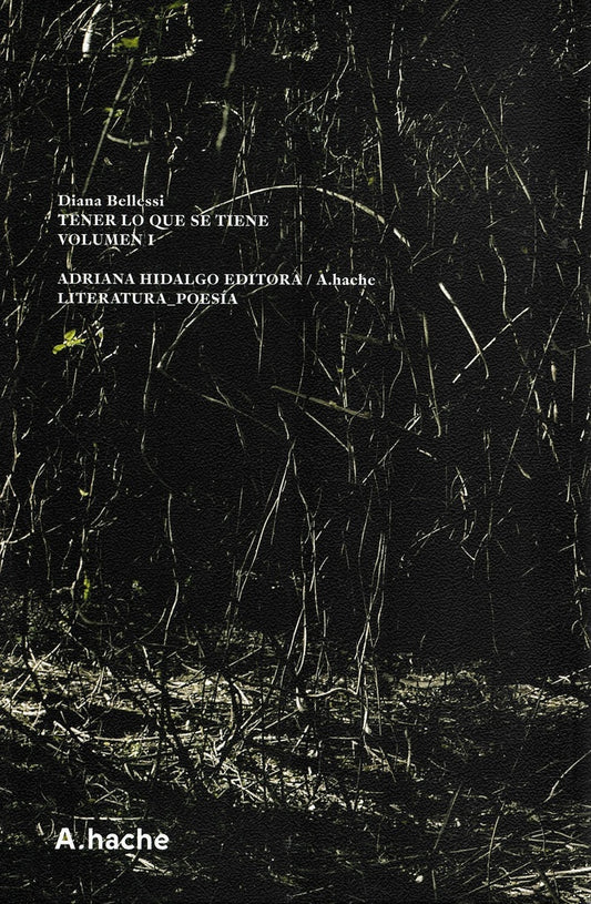 TENER LO QUE SE TIENE. VOLUMEN I | DIANA BELLESSI