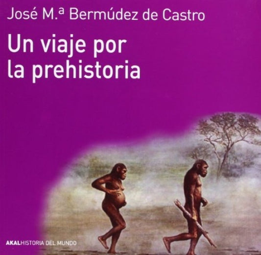 VIAJE POR LA PREHISTORIA