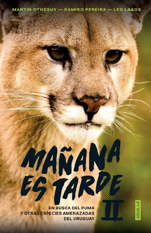 Mañana es tarde II | Otheguy, Pereira y otros