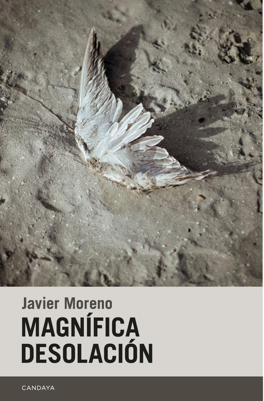 MAGNIFICA DESOLACION | JAVIER MORENO