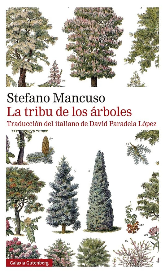 La tribu de los árboles | STEFANO MANCUSO
