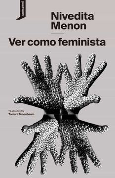 VER COMO FEMINISTAS | NIVEDITA MENON