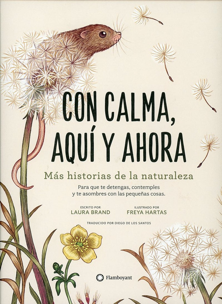 Con calma, aquí y ahora | LAURA BRAND