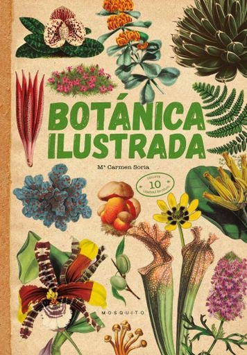 BOTANICA ILUSTRADA | CARMEN SORIA