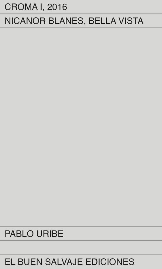 Croma I, 2016. Nicanor Blanes, Bella Vista | Pablo Uribe