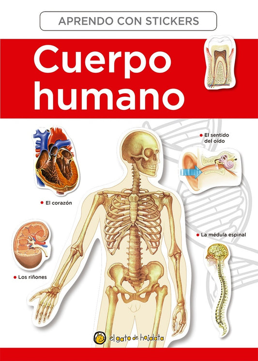 El cuerpo humano. Aprendo con stickers | EL GATO DE HOJALATA