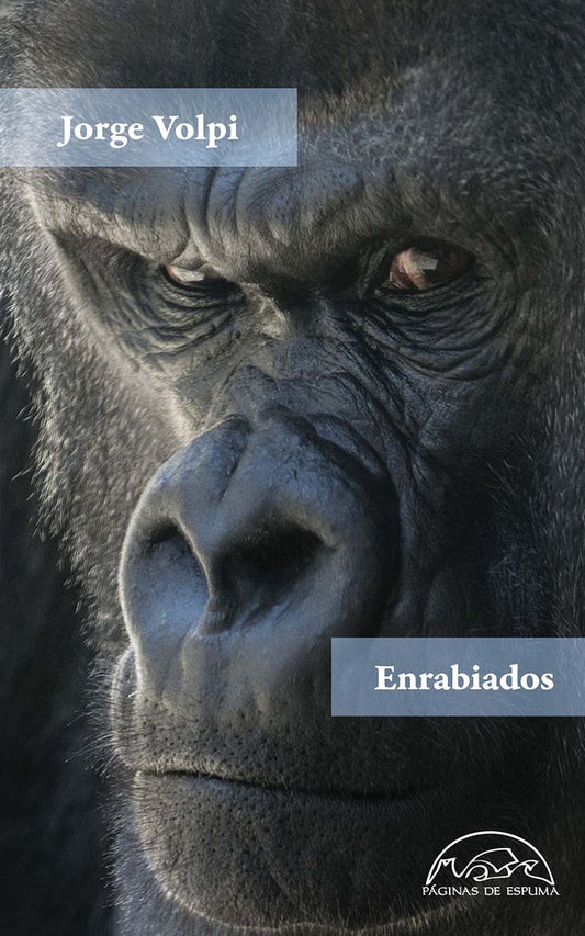 ENRABIADOS | JORGE VOLPI