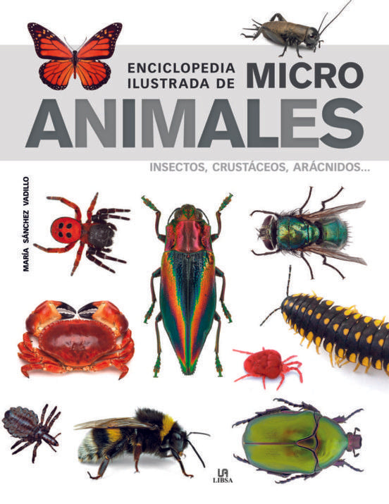 Enciclopedia ilustrada de micro animales | MARIA SANCHEZ VADILLO