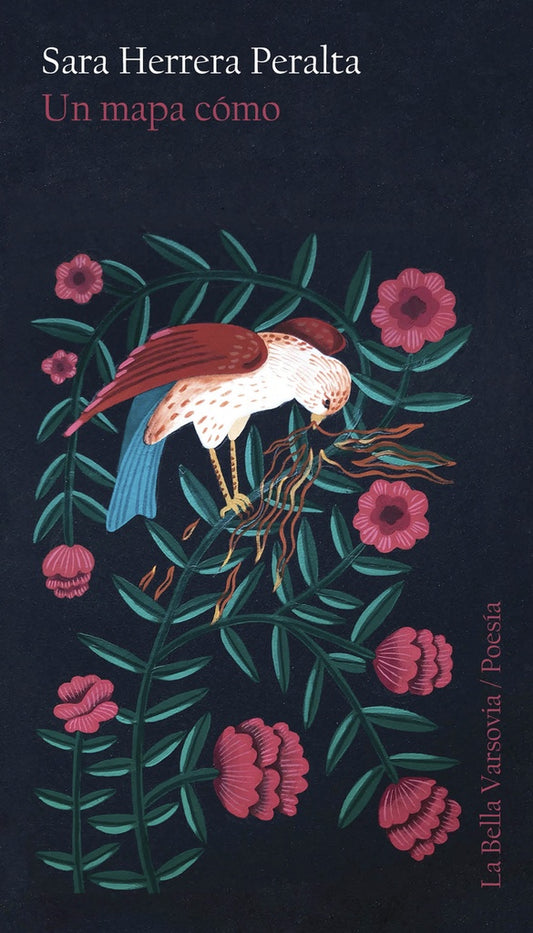 Un mapa cómo | SARA HERRERA PERALTA