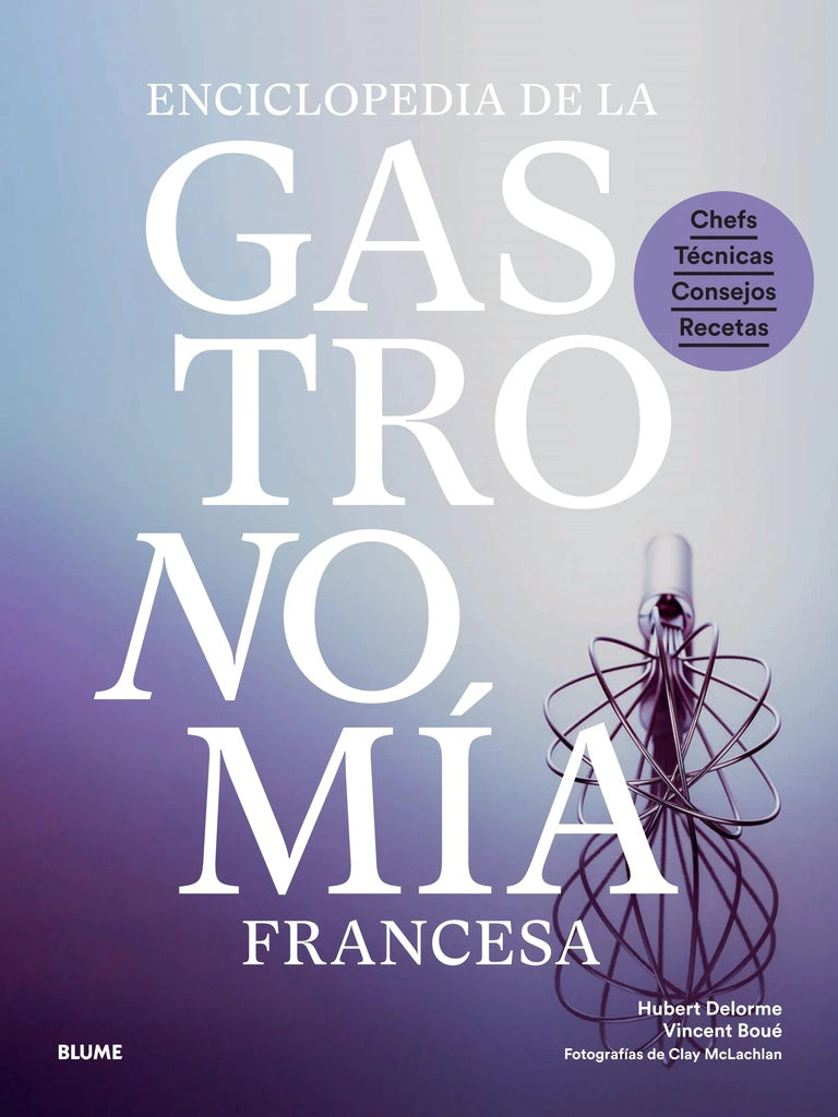 ENCICLOPEDIA DE GASTRONOMIA FRANCESA | HUBERT/ BOUE  VINCENT DELORME
